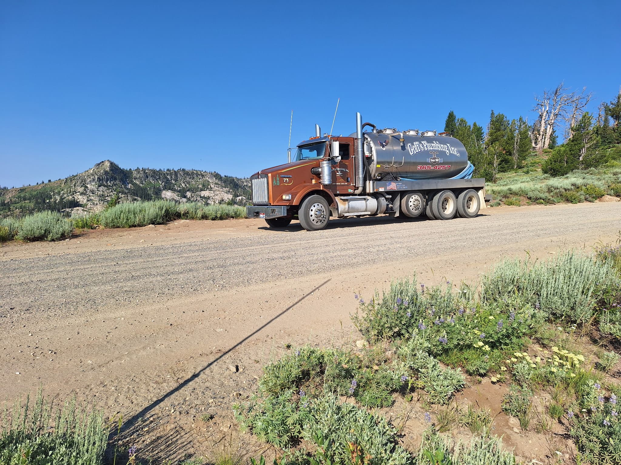 Septic & Drainfield
